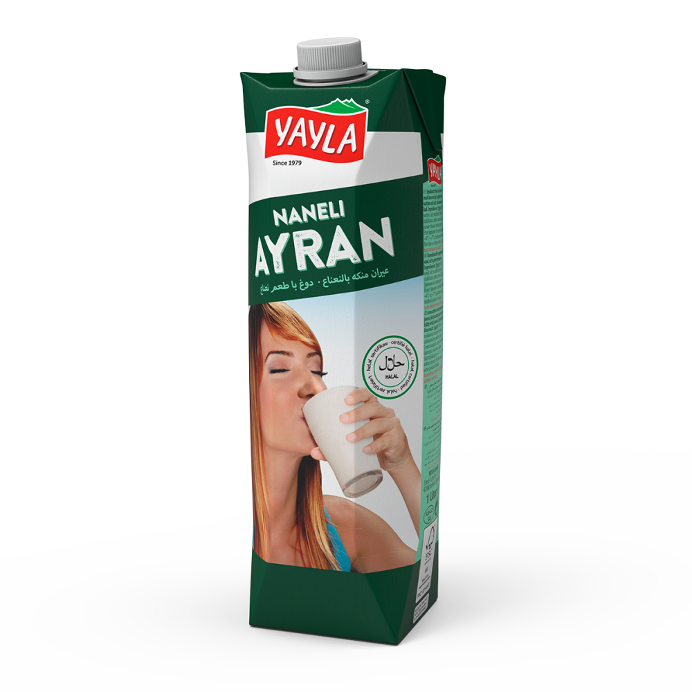 Ayran-Joghurt-Drink mit Minz-Aroma nach türkischer Art